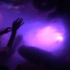 Meet your Posher, Lucy